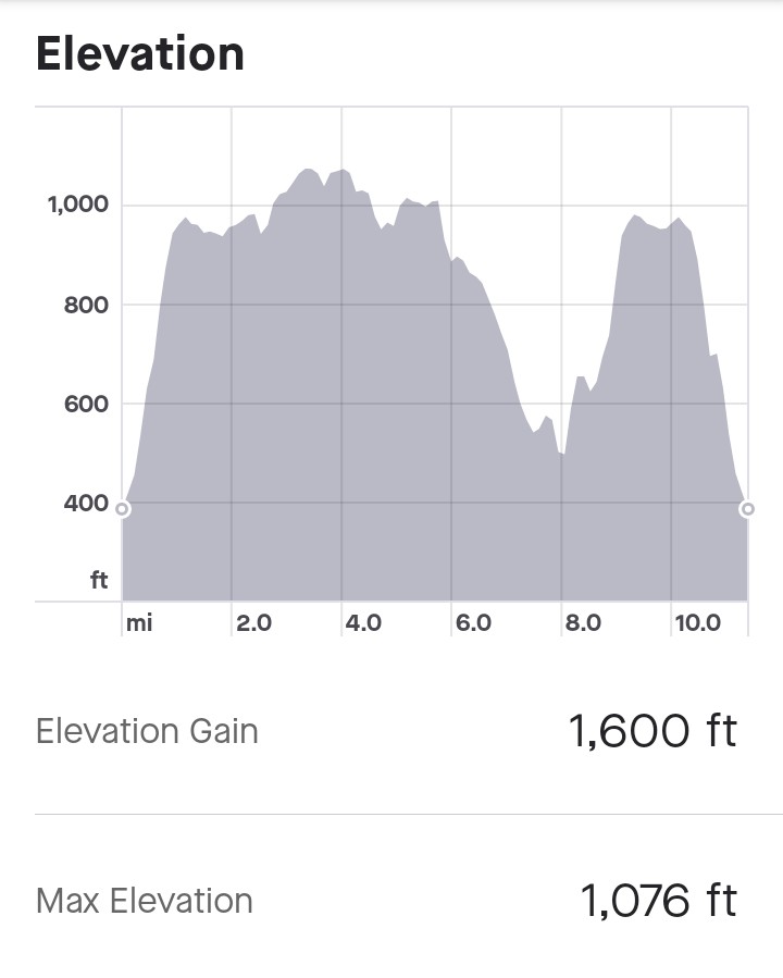 Elevation Profile FellRace 2021