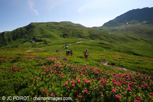 Le Col des Posettes